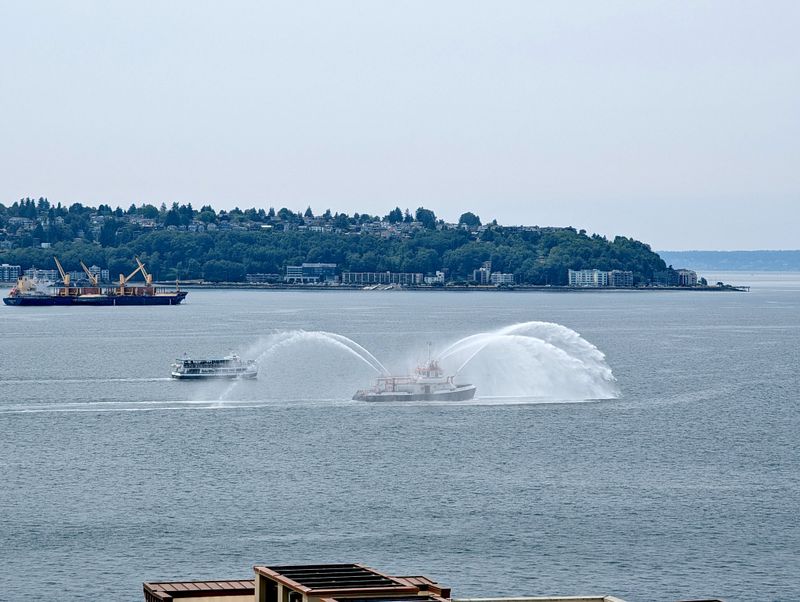 Ship, tour boat, and fire boat