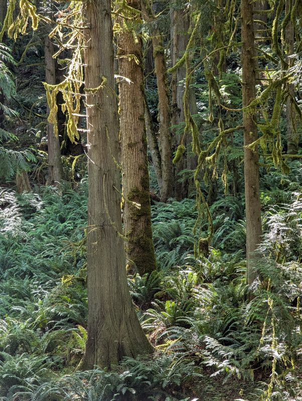 Washington state