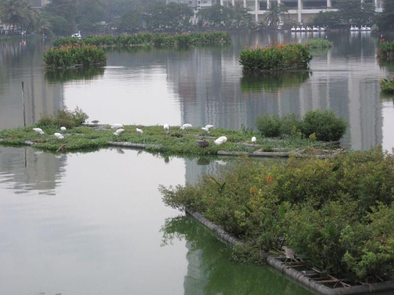 South Beira Lake