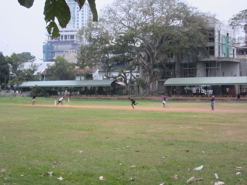 There`s cricket played everywhere