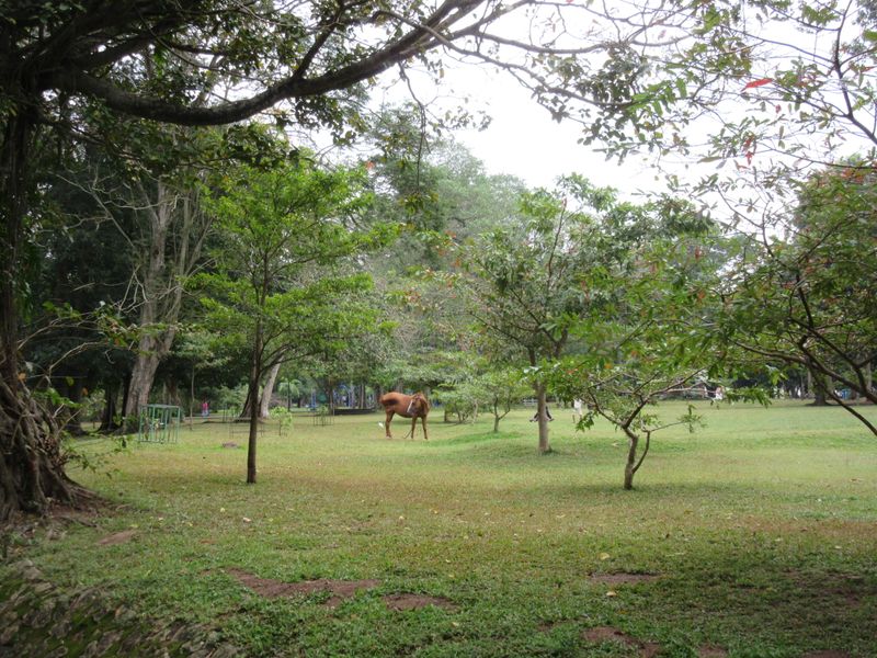 Viharamahadevi Park