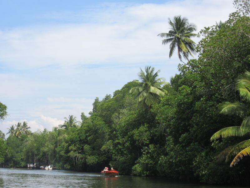 Along the river