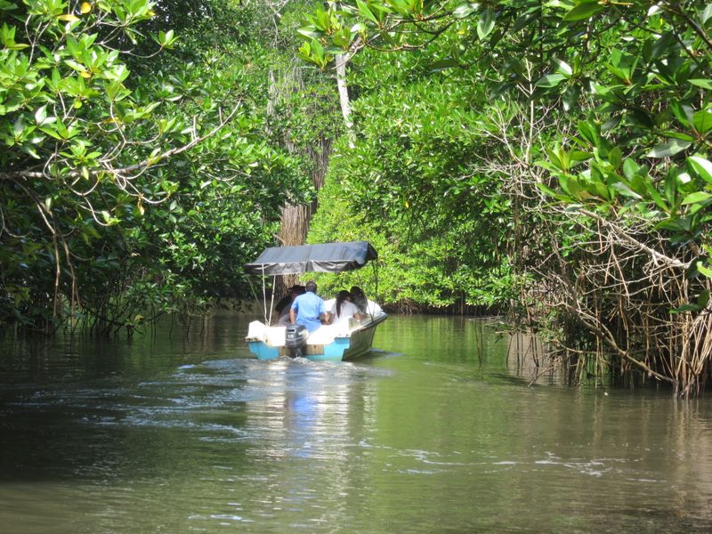 Exploring further up the river
