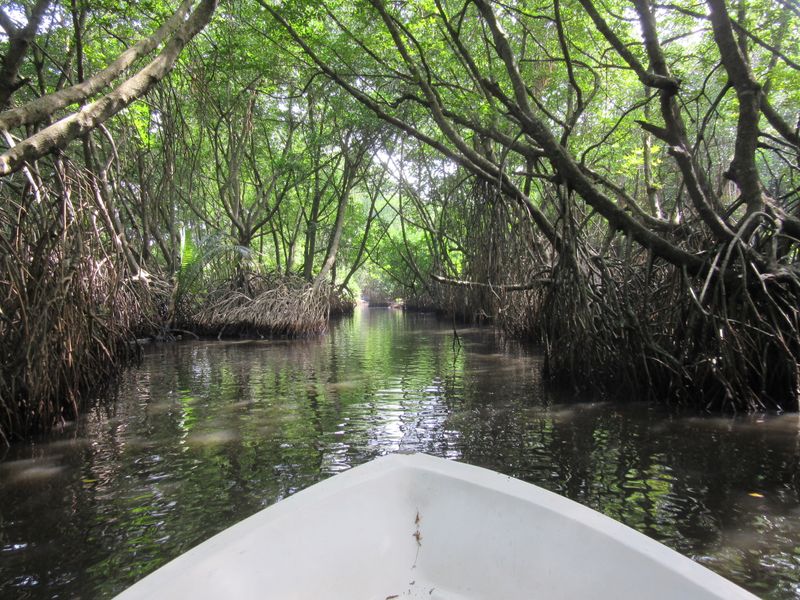 The river gets narrower
