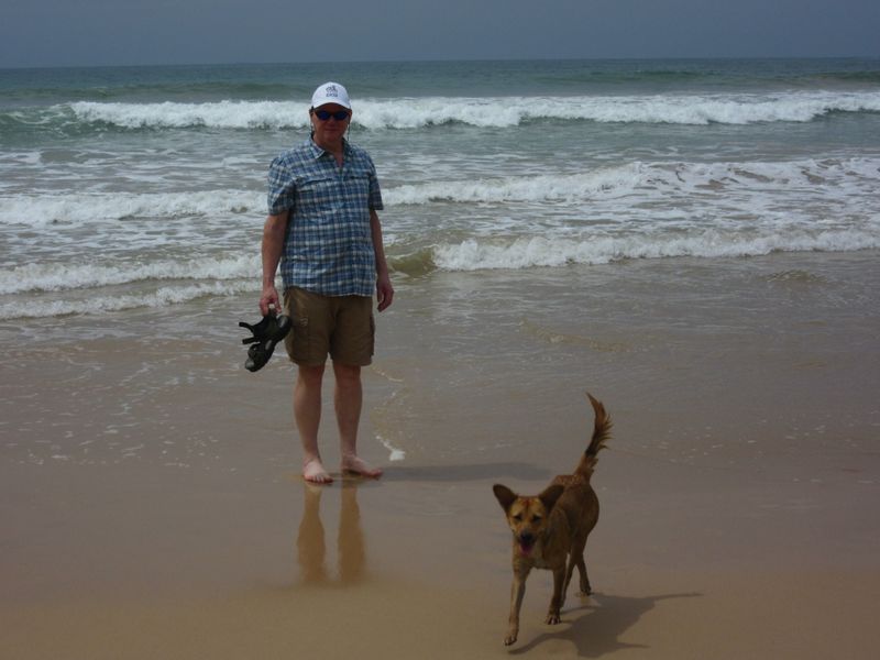 The dogs also like to paddle in the sea to cool down