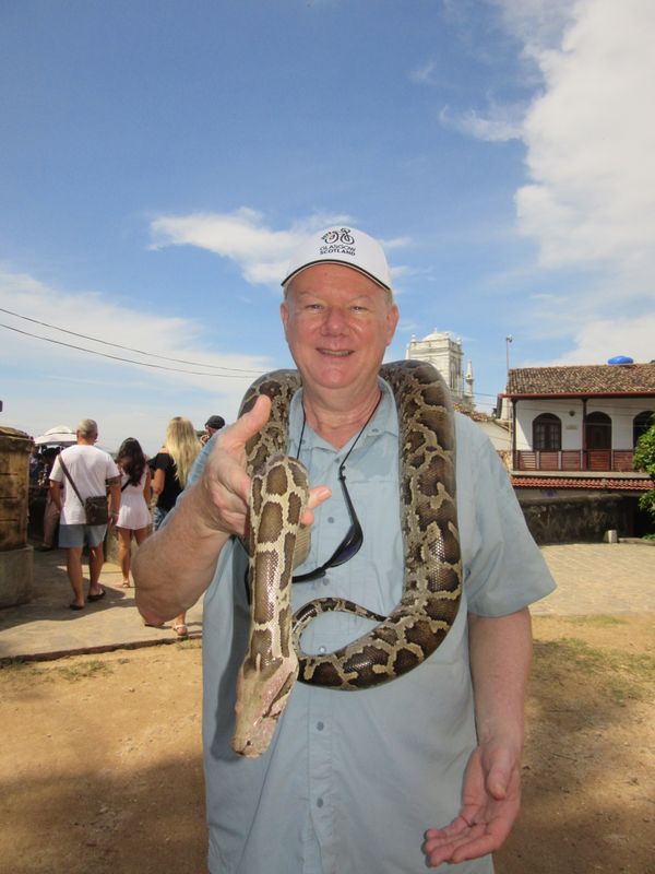 Pete and python