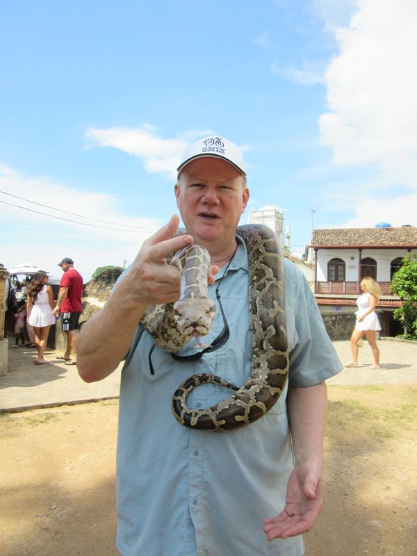 The snake is looking right at me