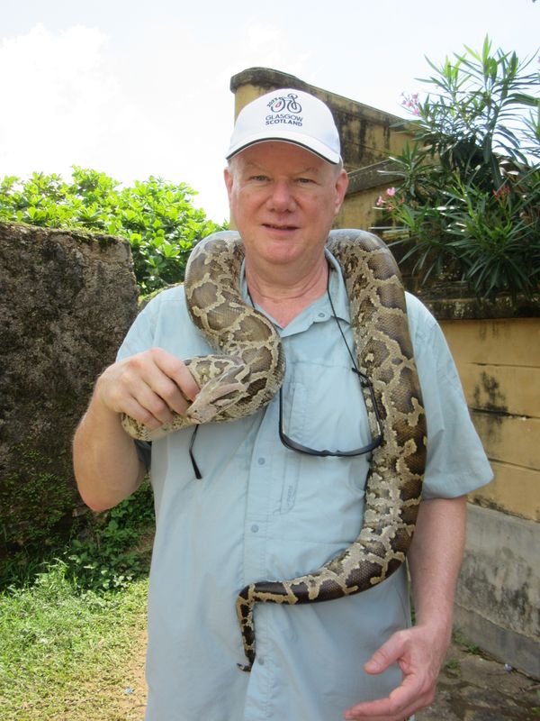Pete and python