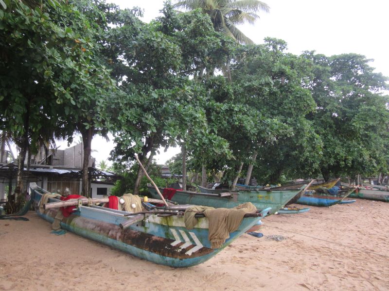 Fishing boats