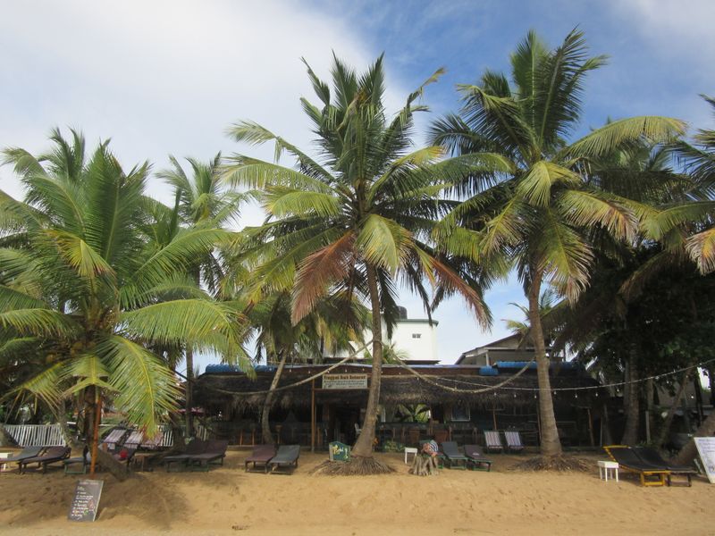 Our beach hotel and restaurant