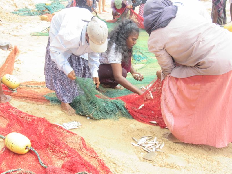 Sorting the fish