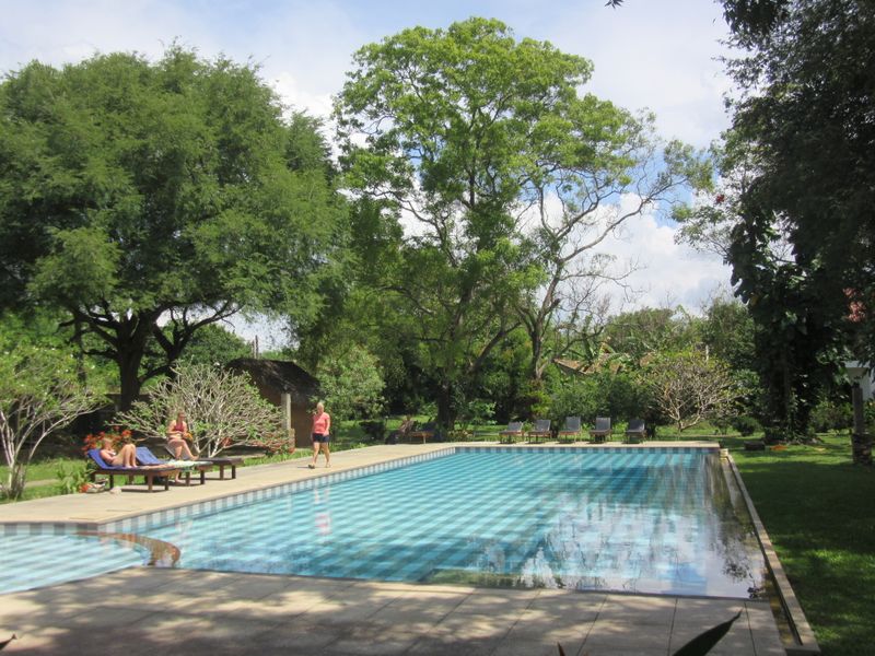 A welcome pool at our hotel