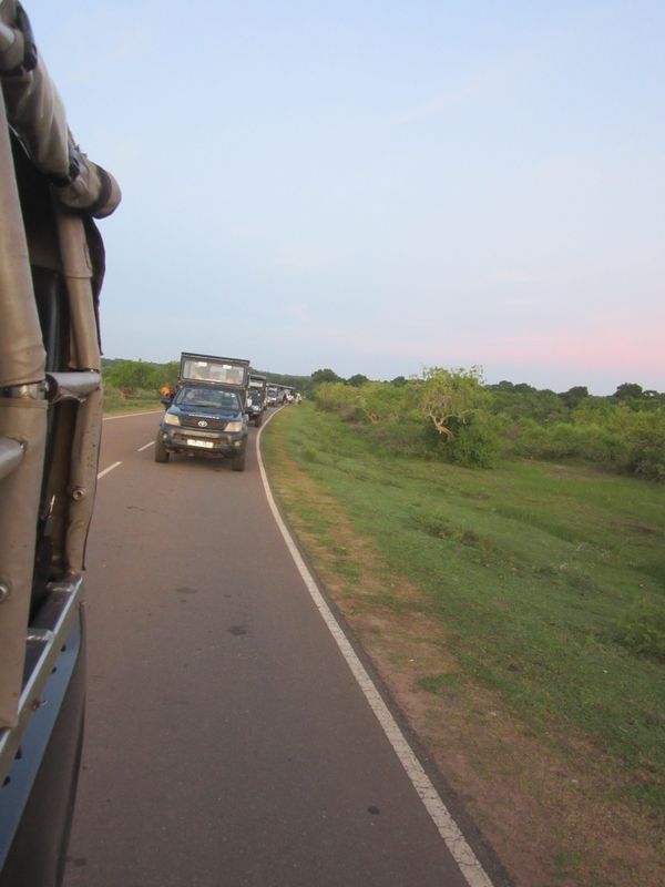 First game drive into Yala NP - line of jeeps waiting to get in