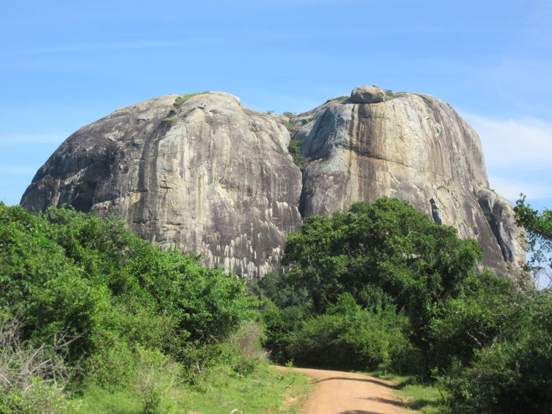 Elephant rock