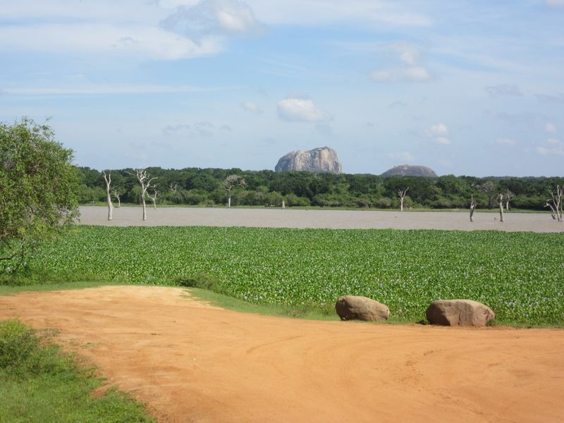 Looking towards elephant rock