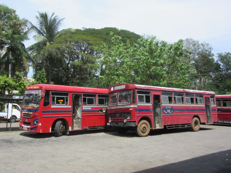 Sri Lanka Transit Board red buses