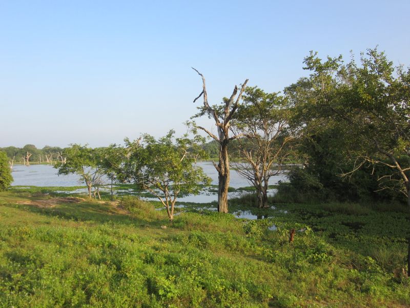 Weheragala Reservoir