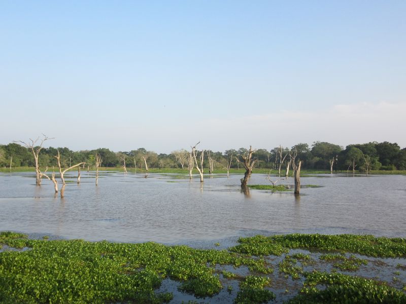 Weheragala Reservoir