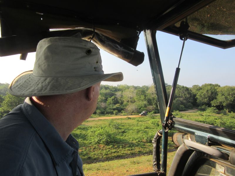 Looking out for animals