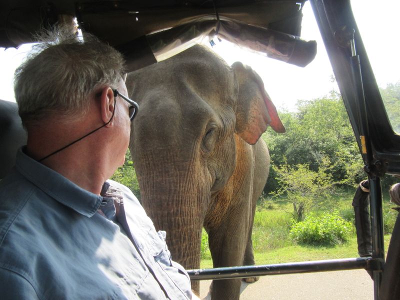 ...and didn't bother when our jeep driver backed up