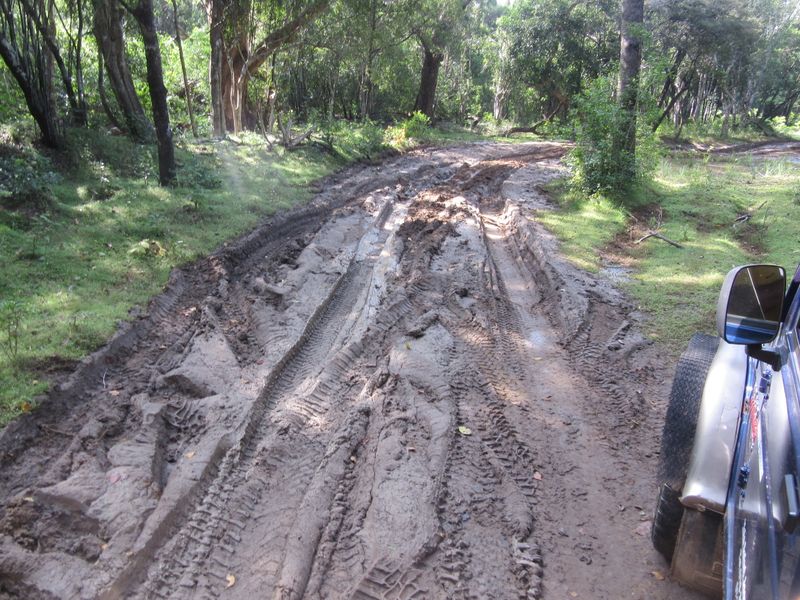 Muddy paths