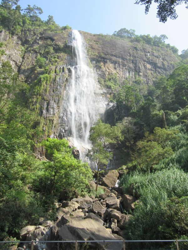 Diyaluma Falls - the bus stopped especially for us to take a photo