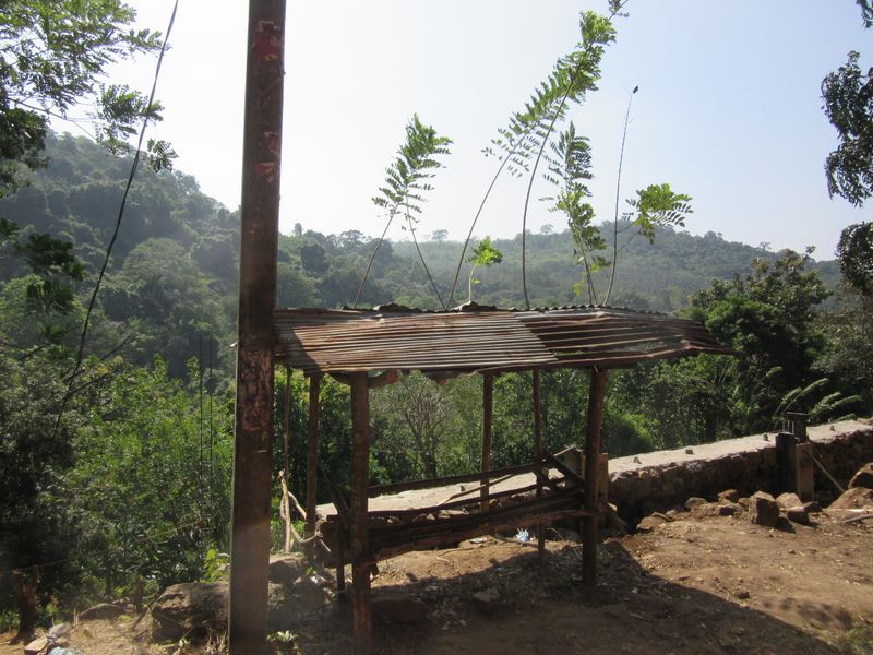 A stall by the road