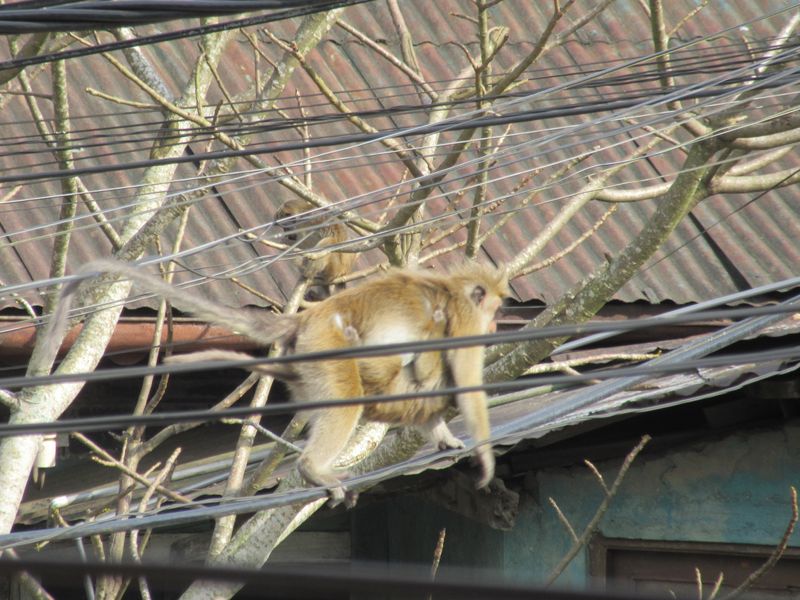 Mother and baby