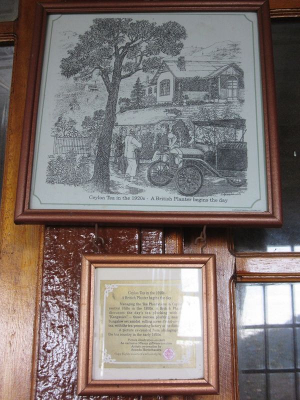 Tea history