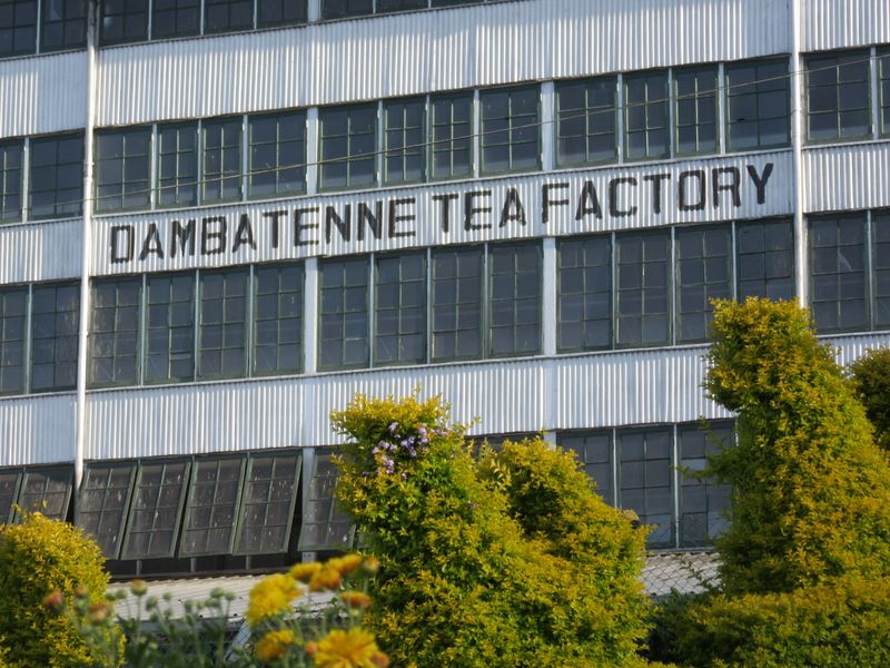 Dambatenne Tea Facory - Sir Thomas Lipton built this in 1890