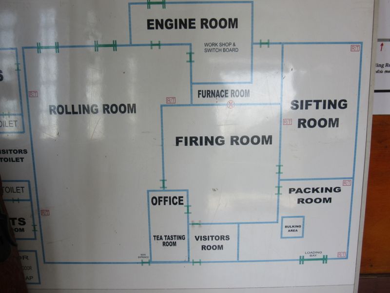 The tea factory plan - we're not allowed to photograph inside the processing areas