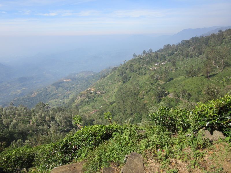 Around Haputale