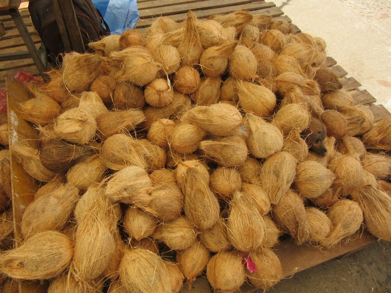 Coconuts