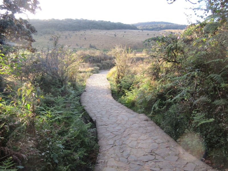Let's start our 10km trail