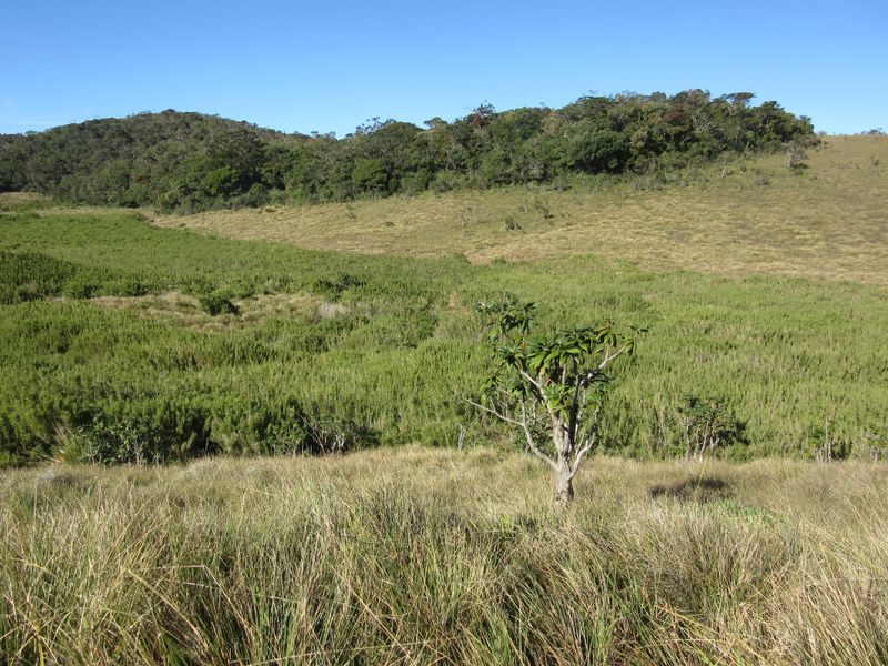 The terrain and scenery changes