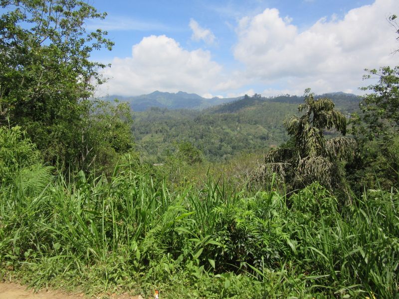Scenery enroute
