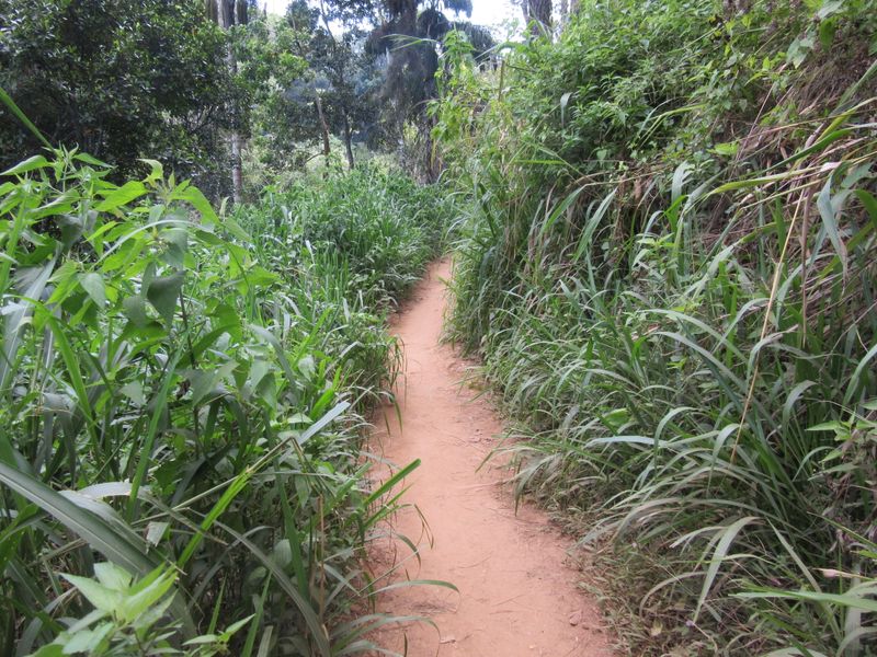 ...along the path...