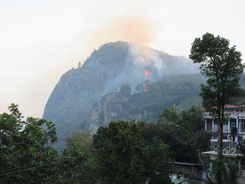 We spot a wildfire on Ella Rock...