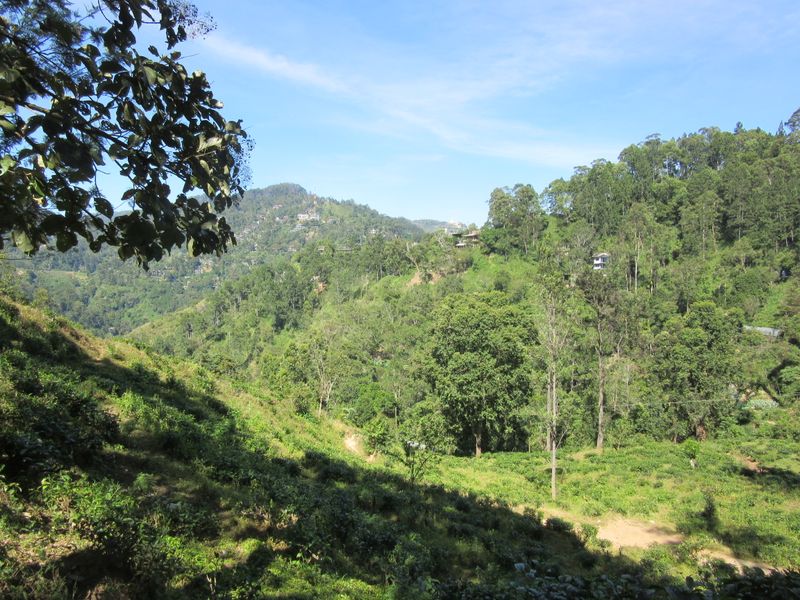 We walk to Little Adam's Peak