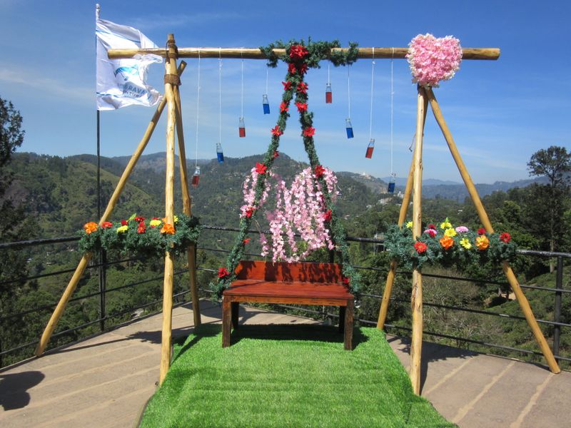 Another swing photo opportunity, on Valentine's Day
