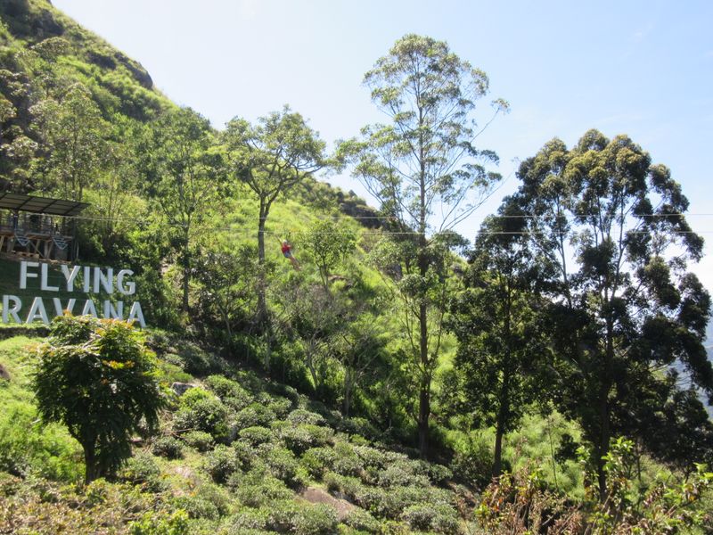 Zipline across the valley