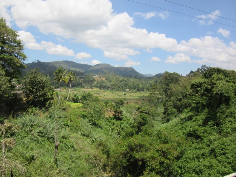 Green hills