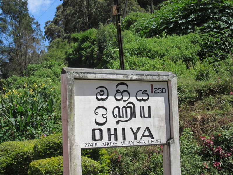 Via Ohiya, we previously passed through here on a tuk tuk, on our way to Horton Plains NP
