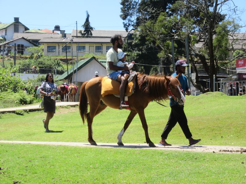 Horse ride