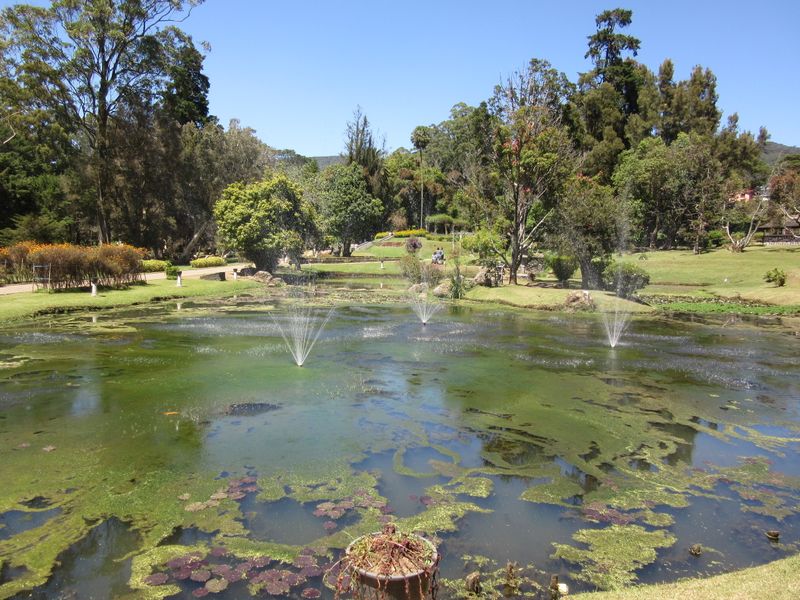 Victoria Park