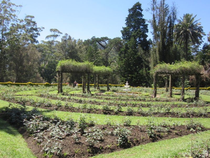 Victoria Park