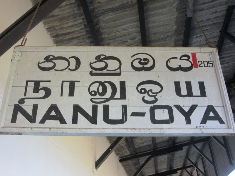 We arrive in Nanu Oya
