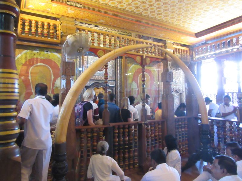 We approach the central shrine, we see the golden casket that holds the sacred tooth (no photos)