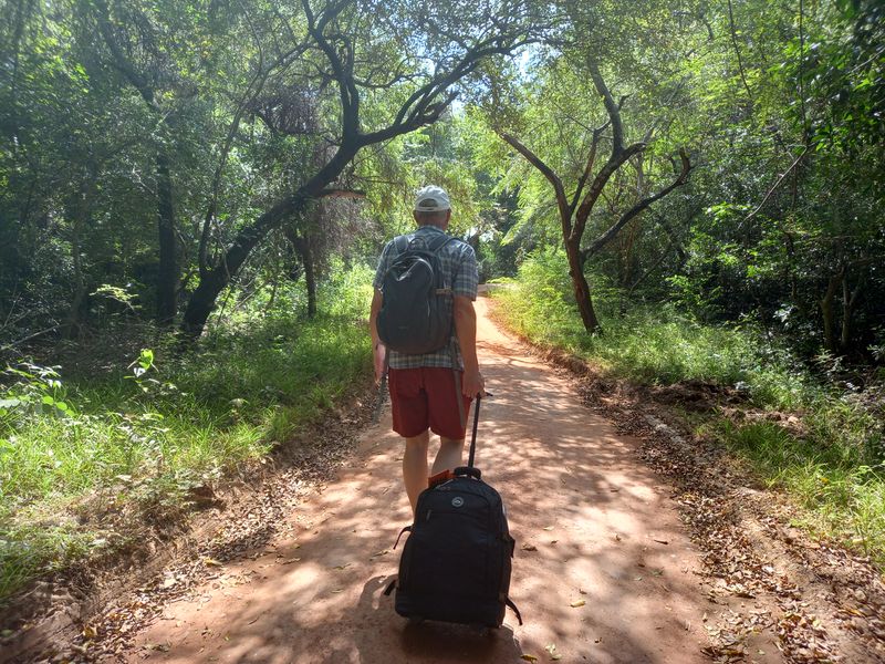 We stayed at Jungle Path Lodge, aptly named