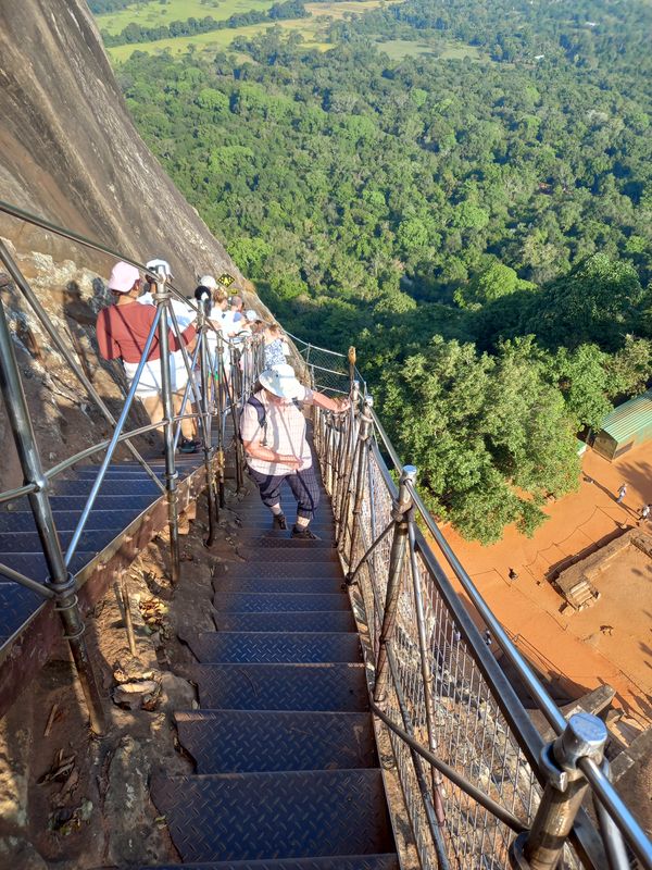 ...to the top
